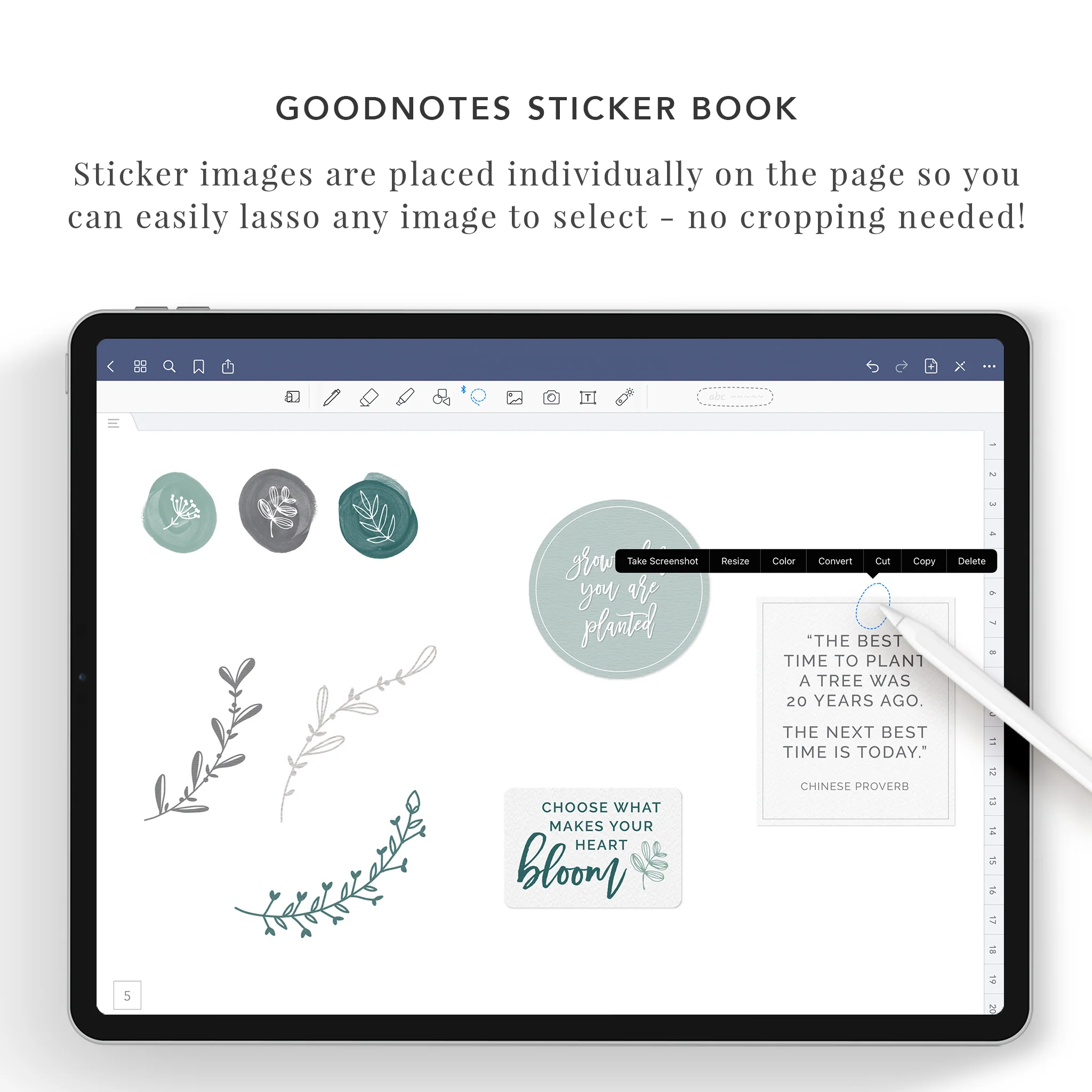 Bloom Sticker Set - Image 7